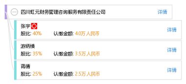 四川虹元财务管理咨询服务有限责任公司